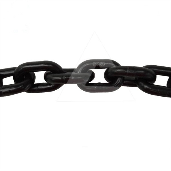 手拉葫芦链条更换时应选择怎样的型号？图3